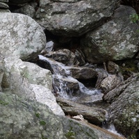 Photo de france - La randonnée du Mont Caroux